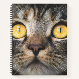 Sluiting van kat met gele ogen notitieboek