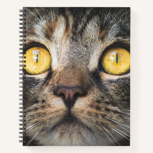 Sluiting van kat met gele ogen notitieboek (Voorkant)