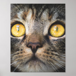 Sluiting van kat met gele ogen poster