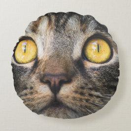 Sluiting van kat met gele ogen rond kussen
