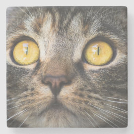 Sluiting van kat met gele ogen stenen onderzetter