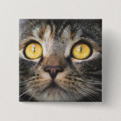 Sluiting van kat met gele ogen vierkante button 5,1 cm (Voorkant)