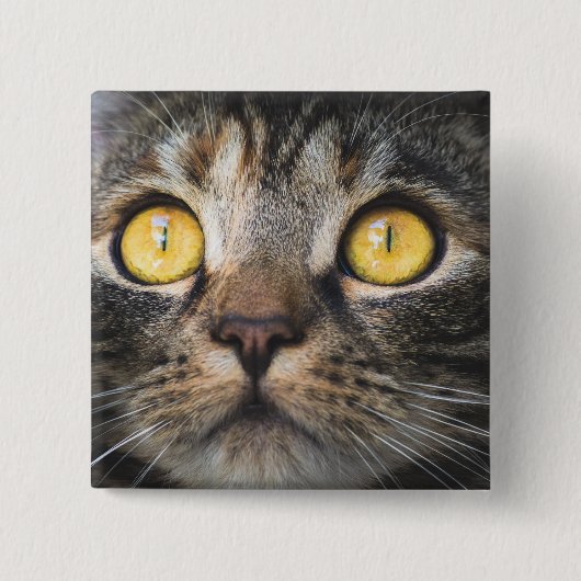 Sluiting van kat met gele ogen vierkante button 5,1 cm (Voorkant)