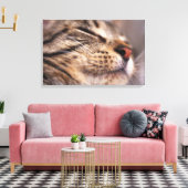 Sluiting van kattenwhiskers en muilkorven canvas afdruk (Insitu (Woonkamer))