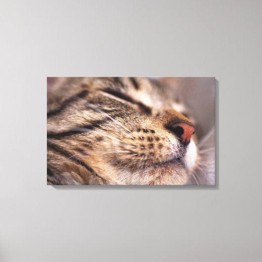 Sluiting van kattenwhiskers en muilkorven canvas afdruk (Voorkant)
