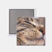 Sluiting van kattenwhiskers en muilkorven magneet (Voorkant / Achterkant)