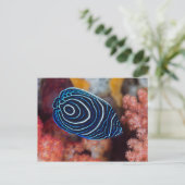 Sluiting van keizer Angelfish Briefkaart (Staand voorkant)
