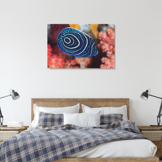 Sluiting van keizer Angelfish Canvas Afdruk (Insitu (Slaapkamer))