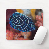 Sluiting van keizer Angelfish Muismat (Met muis)