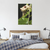 Sluiting van kikker van bosbomen (Leptopelis) Canvas Afdruk (Insitu (Slaapkamer))