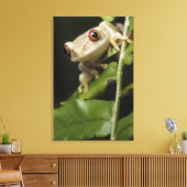 Sluiting van kikker van bosbomen (Leptopelis) Canvas Afdruk (Insitu (Woonkamer))