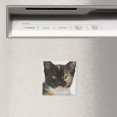 Sluiting van kitten magneet (Insitu (Vaatwasser))