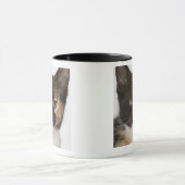 Sluiting van kitten mok (Midden)