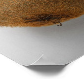 Sluiting van kiwi-vruchten 2 poster (Hoek)