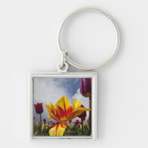 Sluiting van kleurrijke bloeiende tulpen in Oregon Sleutelhanger