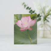 Sluiting van Lotus flower, Nelumbo nucifera), Briefkaart (Staand voorkant)