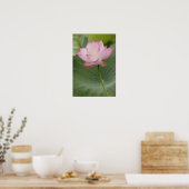Sluiting van Lotus flower, Nelumbo nucifera), Poster (Keuken)