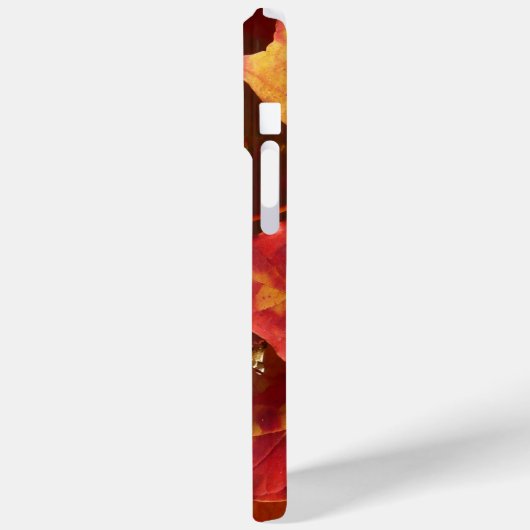 Sluiting van najaarsbladeren Case-Mate iPhone case (Achterkant / Links)