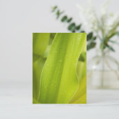 Sluiting van nat tropisch blad briefkaart (Staand voorkant)