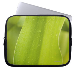 Sluiting van nat tropisch blad laptop sleeve