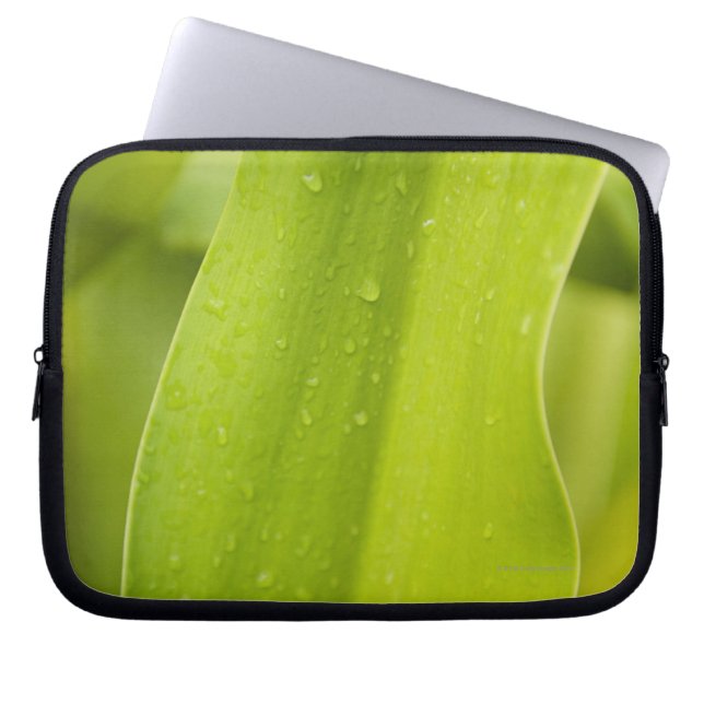 Sluiting van nat tropisch blad laptop sleeve (Voorkant)