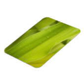 Sluiting van nat tropisch blad magneet (Linkerzijde)
