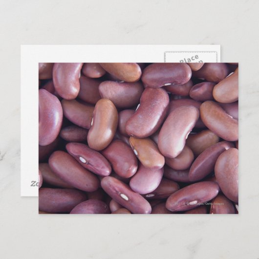 Sluiting van nierbonen briefkaart (Voorkant / Achterkant)