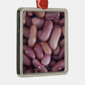 Sluiting van nierbonen metalen ornament (Rechts)