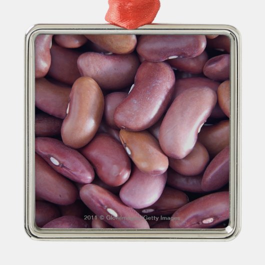 Sluiting van nierbonen metalen ornament (Voorkant)