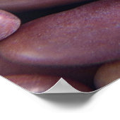 Sluiting van nierbonen poster (Hoek)