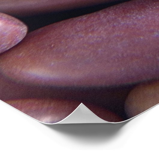 Sluiting van nierbonen poster (Hoek)