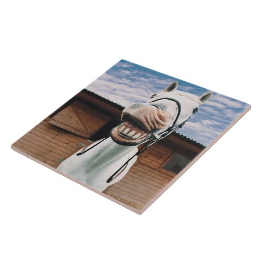 Sluiting van Paarden met Mouth Open Tegeltje (Zijkant)