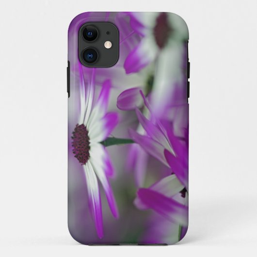 Sluiting van paarse bloem, Keukenhof Garden Case-Mate iPhone Case (Achterkant)