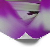 Sluiting van paarse bloem, Keukenhof Garden Poster (Hoek)