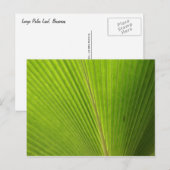 Sluiting van Palm Leaf Briefkaart (Voorkant / Achterkant)