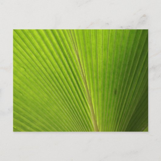 Sluiting van Palm Leaf Briefkaart (Voorkant)