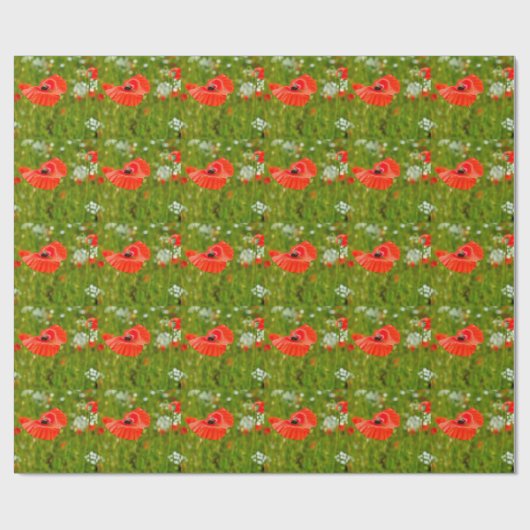 Sluiting van papaver cadeaupapier (Vlak)