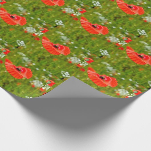 Sluiting van papaver cadeaupapier (Hoek)