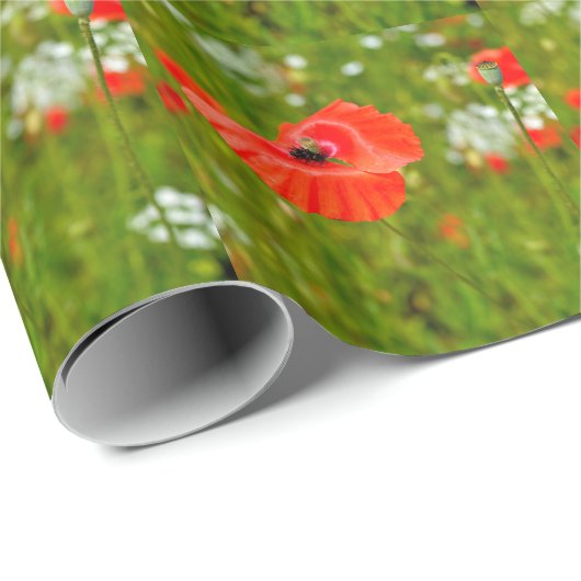 Sluiting van papaver cadeaupapier (Rol Hoek)