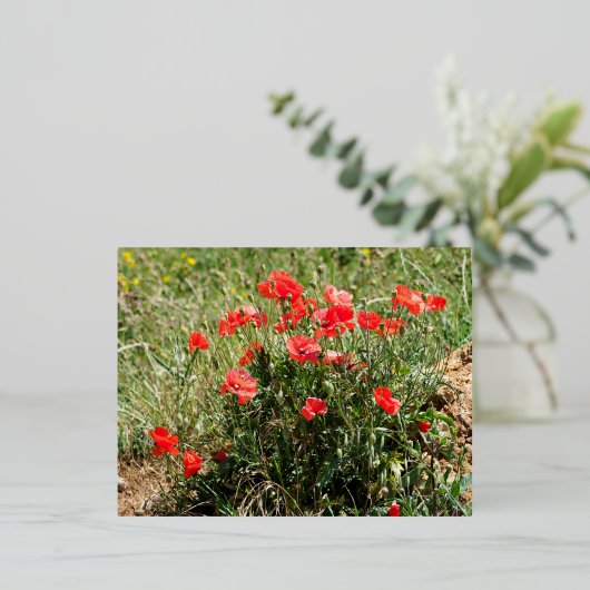 Sluiting van papaver folie feestdagen briefkaart (Staand Voorkant)