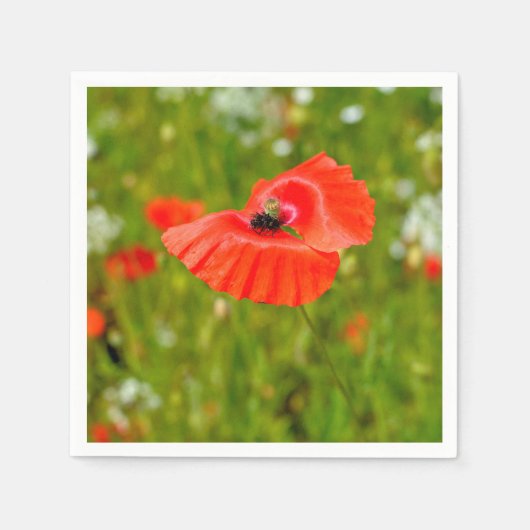 Sluiting van papaver servet (Voorkant)