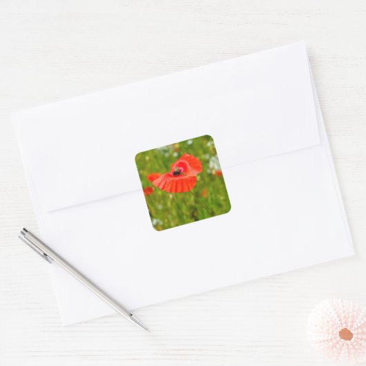 Sluiting van papaver vierkante sticker (Envelop)