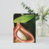 Sluiting van pitcher plant briefkaart (Staand voorkant)