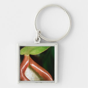Sluiting van pitcher plant sleutelhanger