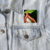 Sluiting van pitcher plant vierkante button 5,1 cm (In situ)