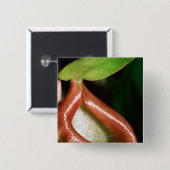 Sluiting van pitcher plant vierkante button 5,1 cm (Voorkant /achterkant)
