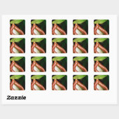 Sluiting van pitcher plant vierkante sticker (Vel)