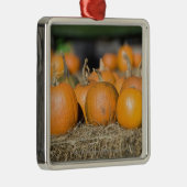 Sluiting van pompoenen metalen ornament (Rechts)