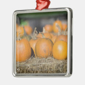 Sluiting van pompoenen metalen ornament (Links)