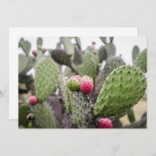 Sluiting van Prickly Pear Cactus Bedankkaart (Voorkant / Achterkant)